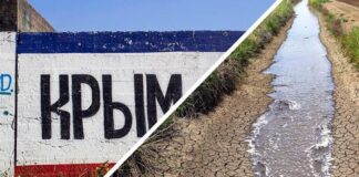 В Крыму умирает красивейший источник: Балановское водохранилище показали с высоты