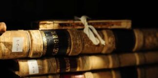 Минкульт запретил российские книги о «Бабе Яге» и «Илоне Маске»