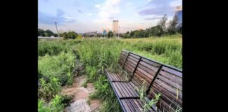 «Донбасс Арена» в Донецке в 2021 году: появились новые фото стадиона и парка, который разрушается