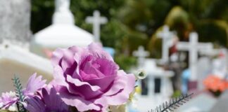 Бондарчук сообщила о смерти народного артиста Андрея Малюкова: «Его скосил ковид»