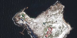 Die Welt раскрыла стратегическое значение острова Змеиный