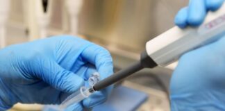 В Нижегородской области подтвердили 517 случаев коронавируса за сутки