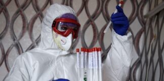 В России за сутки госпитализировали 744 человека с коронавирусом