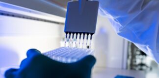 В Севастополе зарегистрировали 33 случая COVID-19 за сутки