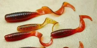 Как преуспеть осенью в ловле налима