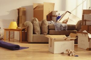 Квартирный переезд: как выбрать надежную компанию и избежать проблем