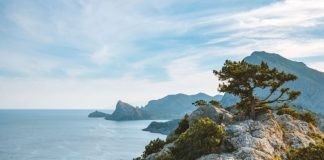 Будут ли преследовать получивших паспорта РФ: появился законопроект по Крыму после освобождения