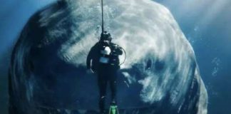 «Мег 2»: Стейтем против доисторических акул, а также Барби и Оппенгеймера