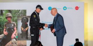 Собаки против оккупантов: в Украине наградили лабрадора Киру за помощь украинским защитникам