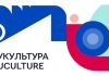 В Могилянке презентовали проект «УКультура»: для кого он и о чем