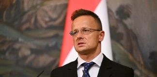 Глава МИД Венгрии Сийярто удивил поступком в Ужгороде на встрече с Ермаком: опубликовано фото