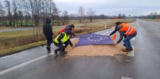 Власти Польши сомневаются в качестве зерна из Украины: «Будут проверять каждую партию»