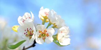 Украинцам пообещали приятную погоду на следующей неделе: где будет теплее всего