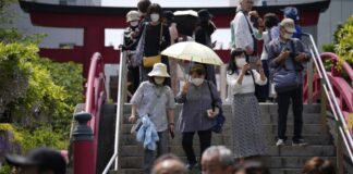 Япония планирует уничтожить препараты от COVID-19 на сумму почти $2 млрд