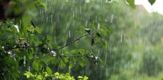 Лето в Украине начнется неделей проливных дождей, шквалов и торнадо