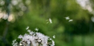 Украину завтра окутает волна жары — только в двух регионах возможен дождь