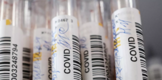 В Кировской области рассказали о ситуации с заболеваемостью COVID-19