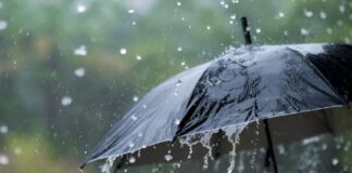Украину в четверг накроет непогода: в каких областях ждать града и шквалов