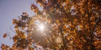 Жара не покидает Украину: синоптики рассказали, какими будут первые дни осени