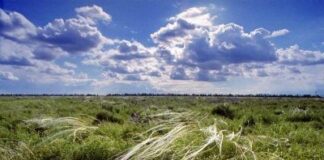 Украину накрыл антициклон: синоптик рассказала, когда и где ждать жары и дождей