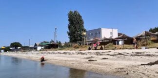 Оккупанты РФ продолжают наносить ущерб экологии акватории Азовского моря и уничтожать его «разумных» обитателей