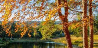 «Классическое бабье лето», – синоптик рассказала о погоде на выходные