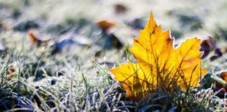 Украину ждет резкий переход из осени в зиму: когда ударит значительный мороз