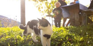 В Украине потеплеет, к нам идет «золотая осень»: синоптик рассказал о погоде на следующую неделю