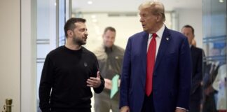 У Украины есть тайный козырь, чтобы склонить Трампа на свою сторону, — Welt