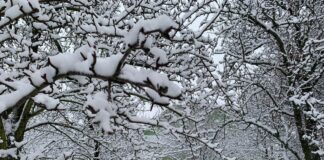 Погода в Украине в декабре: метеоролог рассказал, когда ждать вторжения холодного арктического воздуха