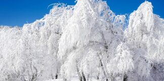 Снежный покров до метра и мороз -15: где в Украине может прийти настоящая зима