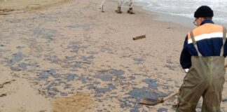 Мазут с затонувших танкеров РФ начал заливать пляжи Севастополя — оккупанты бьют тревогу