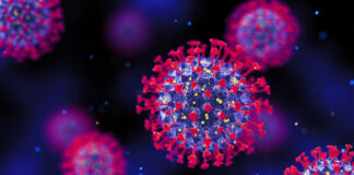 Вирусолог Альтштейн высказался о новом коронавирусе