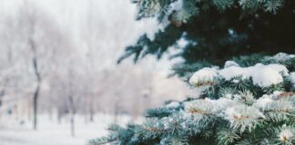 Сугробы до 30 см: синоптик рассказал, когда Украину начнет заметать