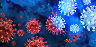 Онищенко: COVID-19 продолжает циркулировать