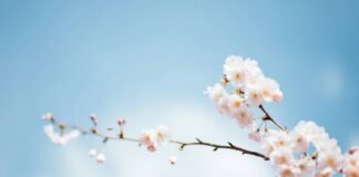 Когда прекратятся дожди и какой погодой встретит апрель: синоптик ответил на волнующие вопросы