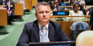 «Поток угроз и аморальных заявлений», – Кислица рассказал о поведении делегации РФ в Стамбуле