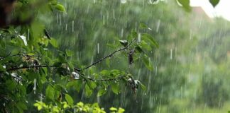 Украину ждут несколько дней дождей – как долго продлится непогода