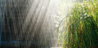 Несколько регионов Украины накроют сильные дожди: когда ждать непогоды