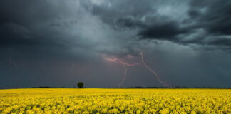 В Укргидрометцентре дали прогноз на ближайшие 3 дня и предупредили о существенном похолодании