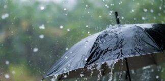Завтра в Украине резко изменится погода: в каких областях во вторник дожди