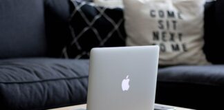 Семейная драма: почему Прилучный больше не подписан на дочь — ответ адвоката ошарашил