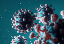 Терапевт Симонова назвала характерные особенности штамма «стратус» COVID-19