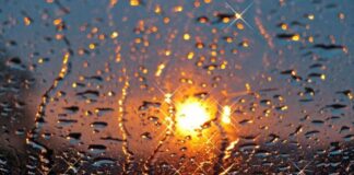 Погода на День Независимости: синоптик рассказала, в каких областях пройдут дожди, а где будет сухо