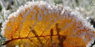 Украину подморозит в ближайшие дни: синоптики назвали области, где ждать «минусы»