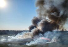 Уничтожают технику и сжигают урожай: оккупанты нацелились на сельхозугодия Украины