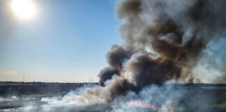 Уничтожают технику и сжигают урожай: оккупанты нацелились на сельхозугодия Украины