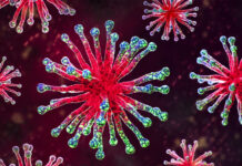 Терапевт Лапа: коронавирус обладает высокой агрессивностью