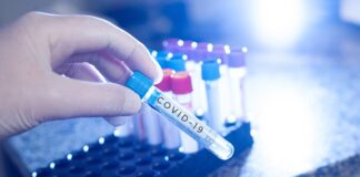 Вирусолог Аграновский назвал неопасными новые штаммы COVID-19