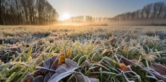 В Украину идут заморозки: синоптики рассказали, в каких областях резко похолодает